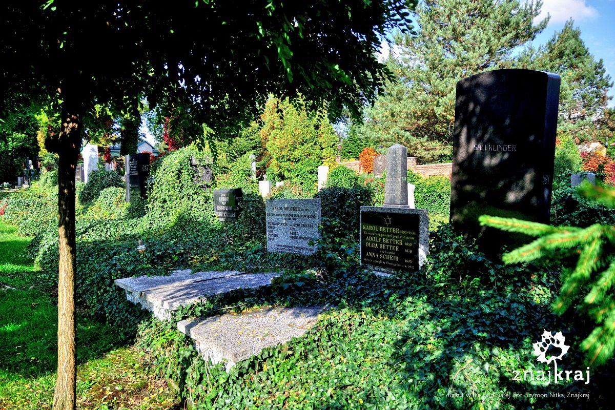 Kirkut w Bielsku-Białej Kirkut w Bielsku-Białej