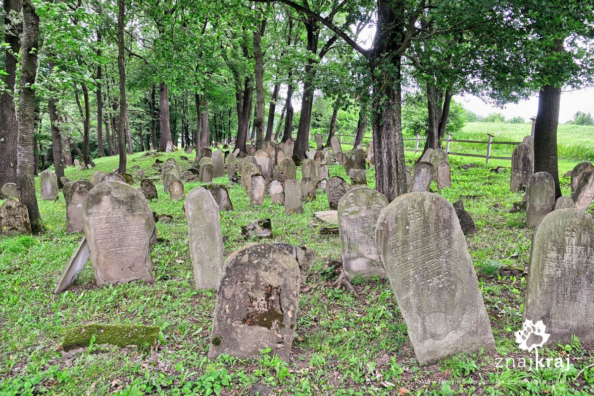 Kirkut w Nowym Żmigrodzie