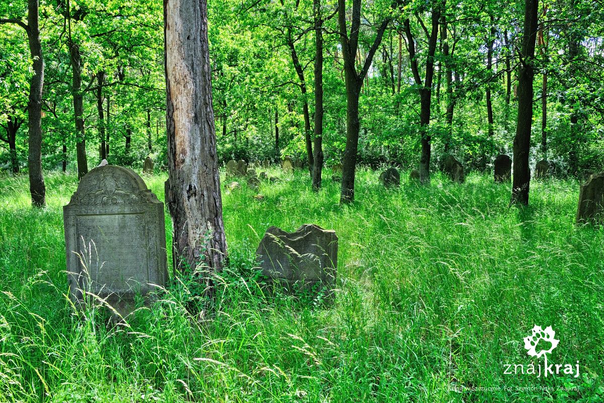 Kirkut w Szczucinie