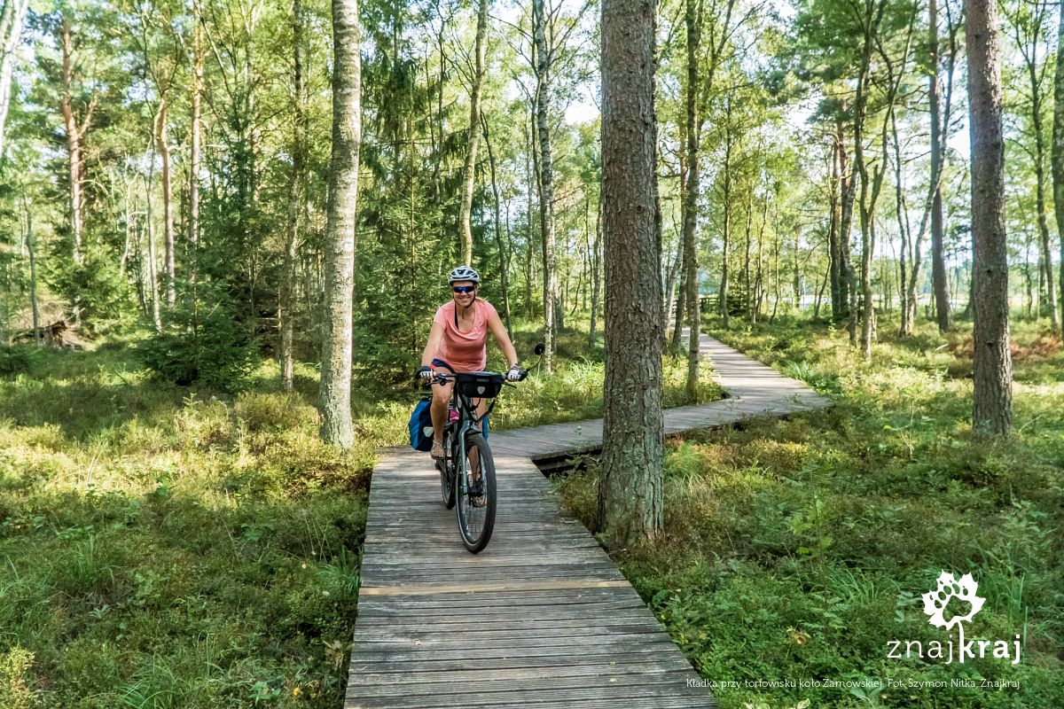 Kładka przy torfowisku koło Żarnowskiej