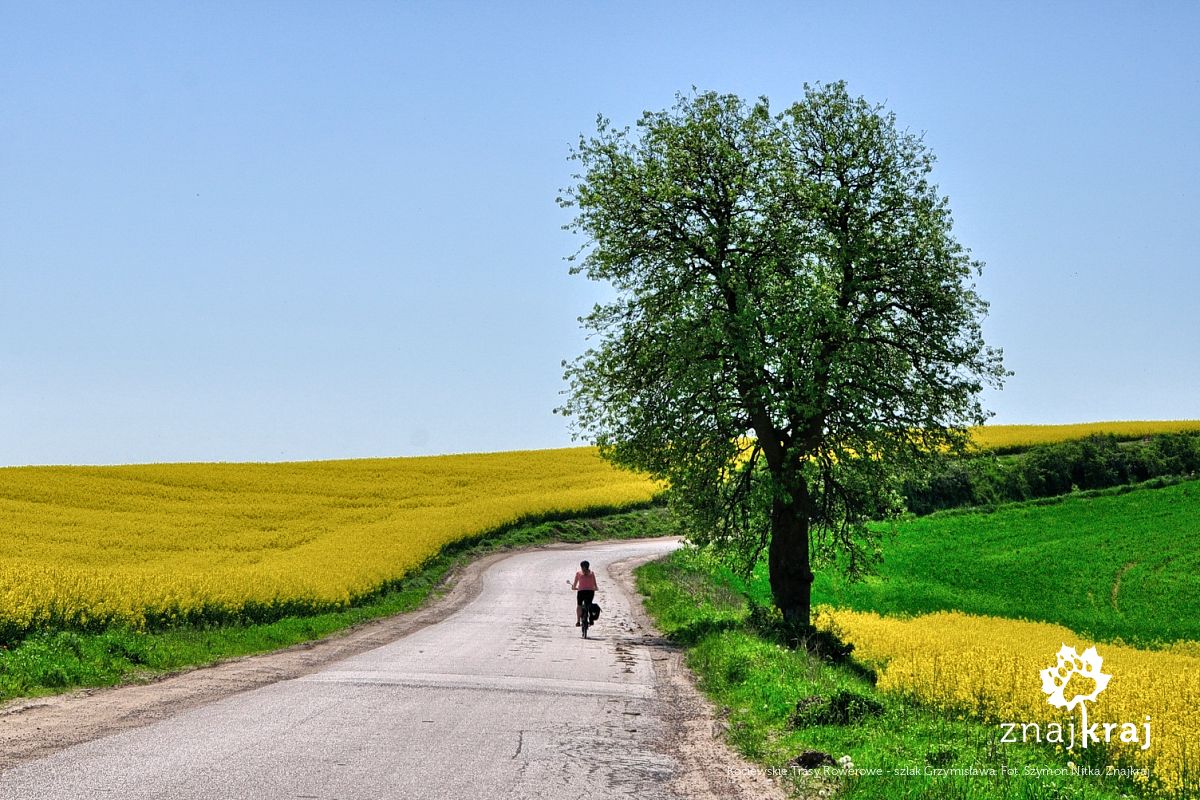 Kociewskie Trasy Rowerowe - szlak Grzymisława