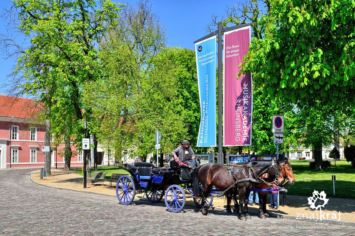 Koński zaprzęg z Rheinsbergu Koński zaprzęg z Rheinsbergu