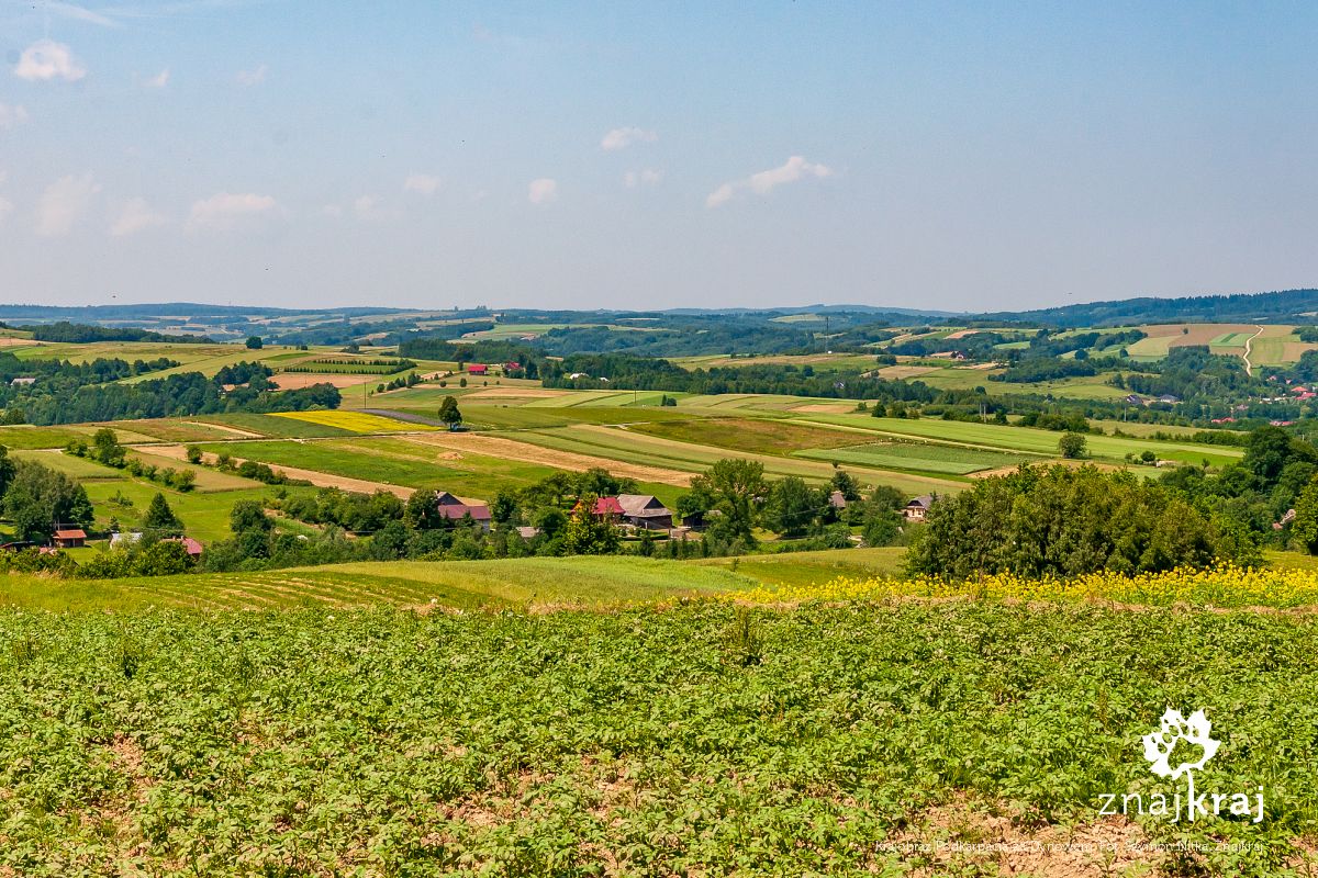 Krajobraz Podkarpacia za Dynowem