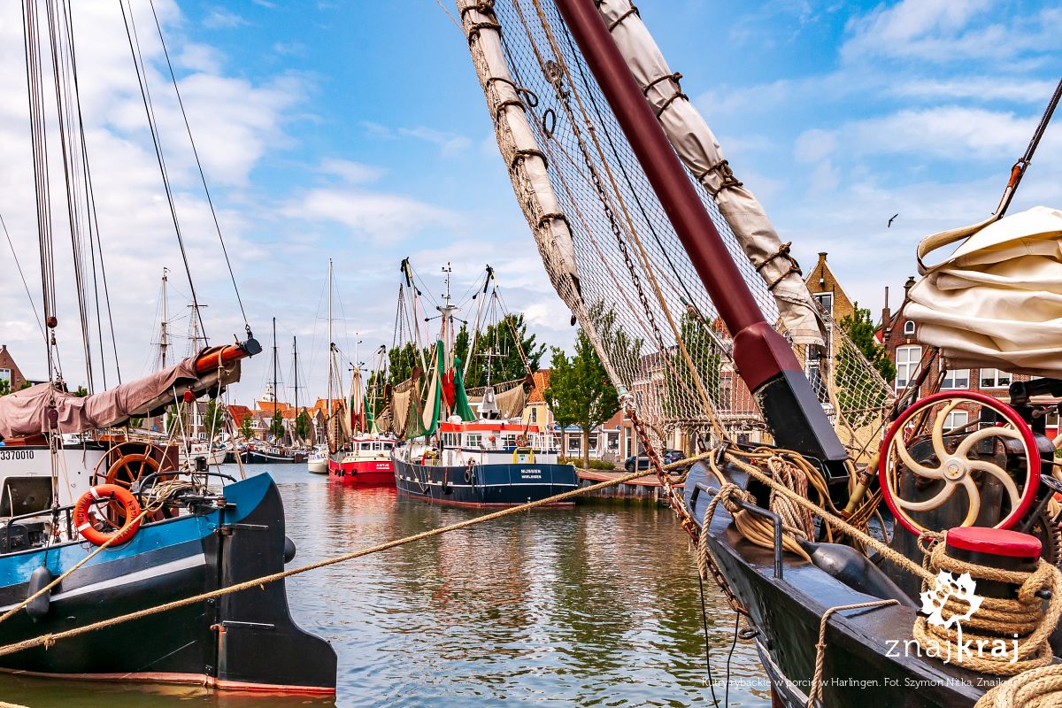 Kutry rybackie w porcie w Harlingen