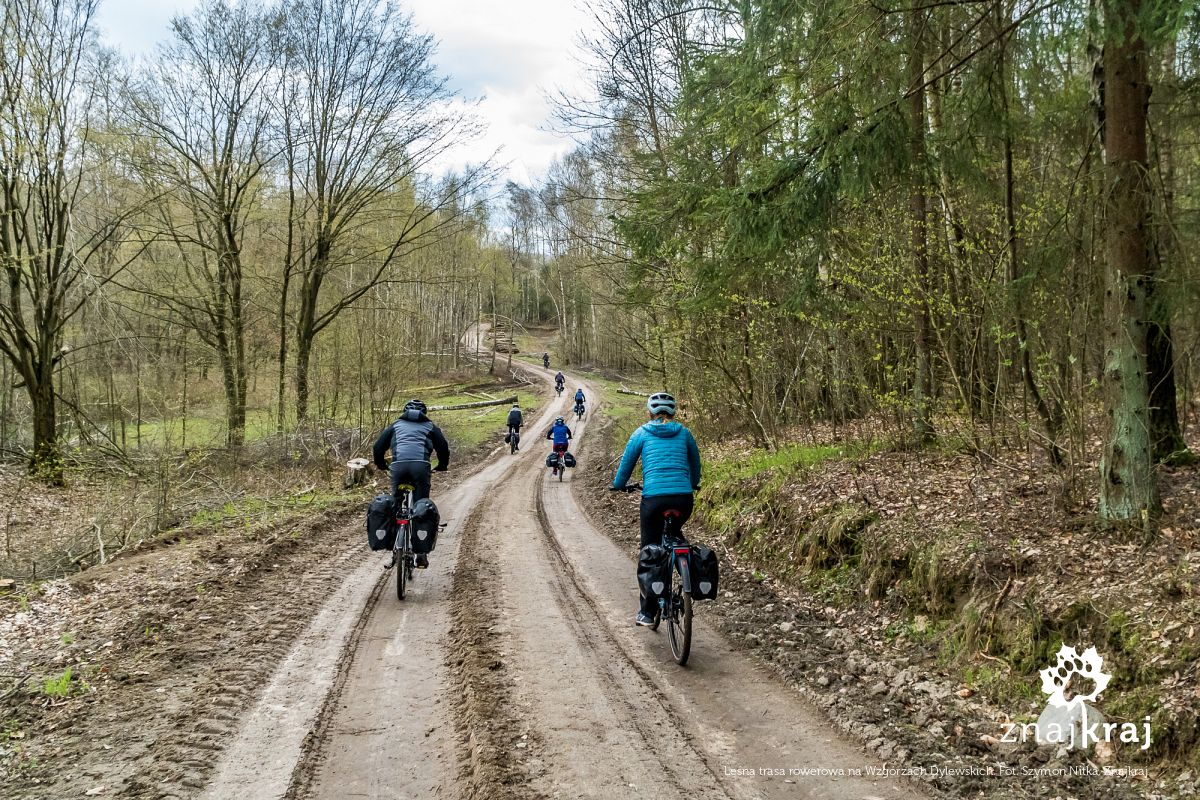 Leśna trasa rowerowa na Wzgórzach Dylewskich