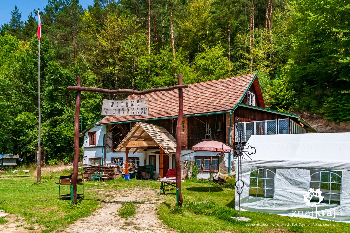 Leśne muzeum w Potokach