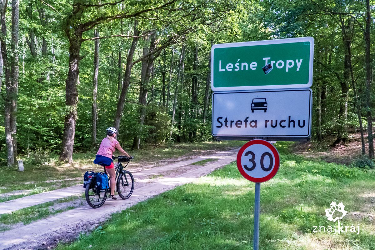 Leśne Tropy - EuroVelo 10