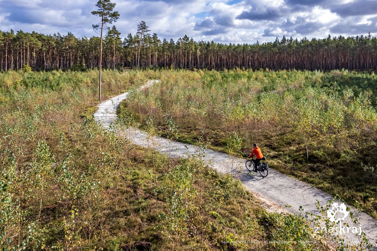 Leśny odcinek EuroVelo 10 za Podziemnym Miastem
