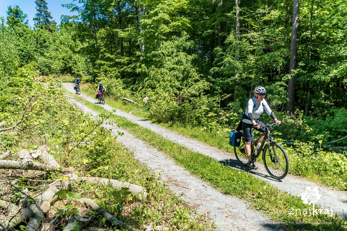 Leśny odcinek Green Velo na Wysoczyźnie Elbląskiej