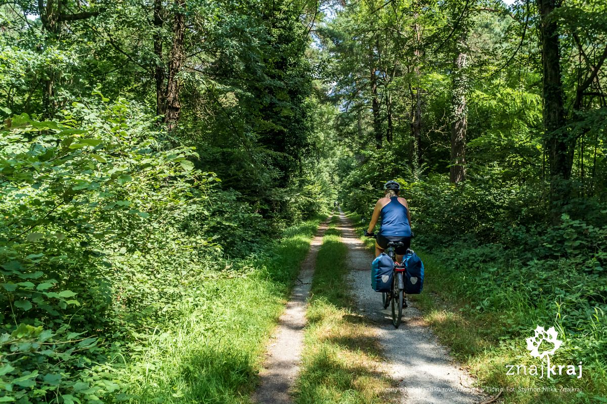 Leśny odcinek szlaku rowerowego w Ticino