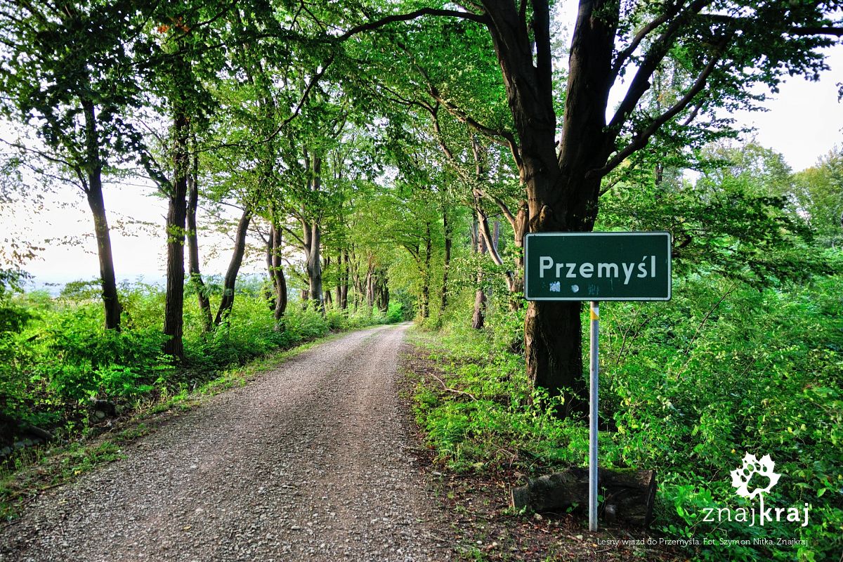 Leśny wjazd do Przemyśla