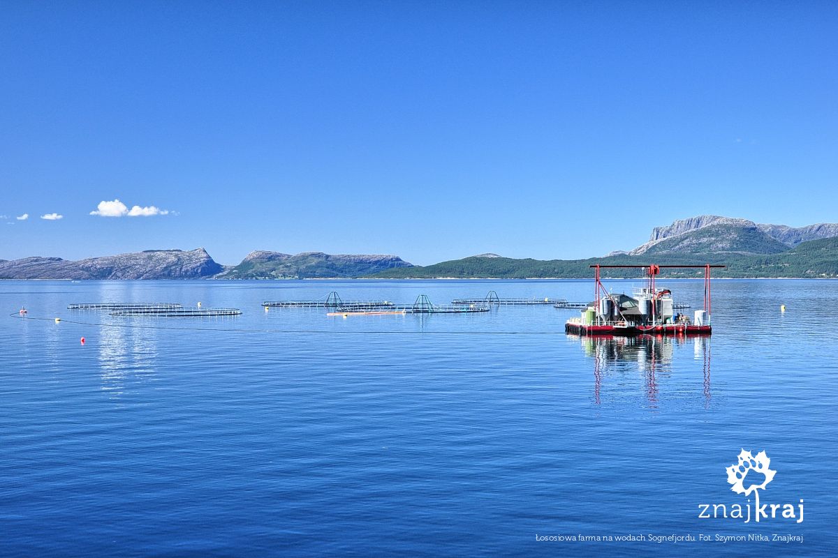 Łososiowa farma na wodach Sognefjordu Łososiowa farma na wodach Sognefjordu