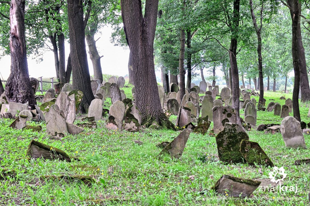 Macewy na kirkucie w Nowym Żmigrodzie
