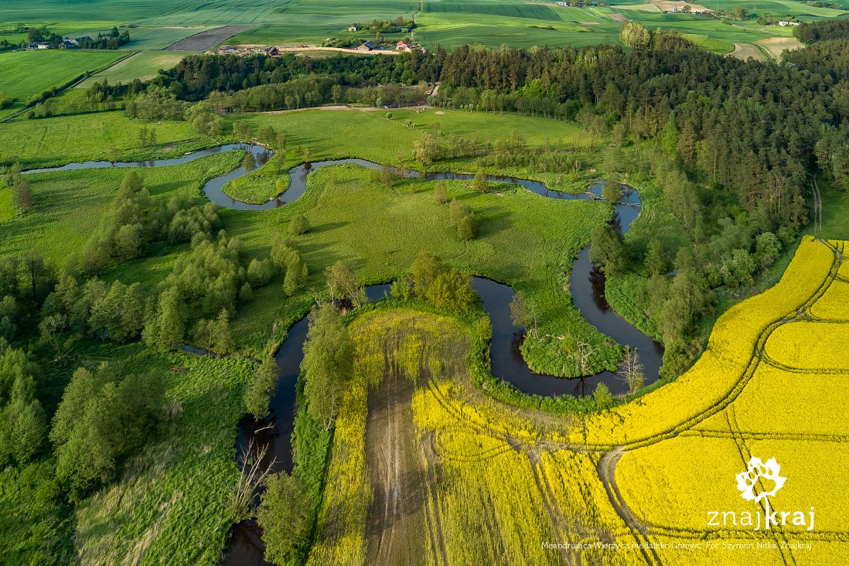 Meandrująca Wierzyca niedaleko Gniewu