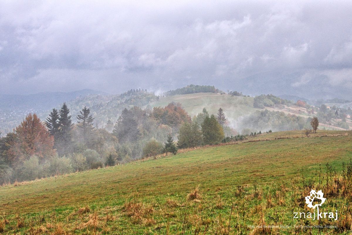 Mgły nad Beskidem Śląskim
