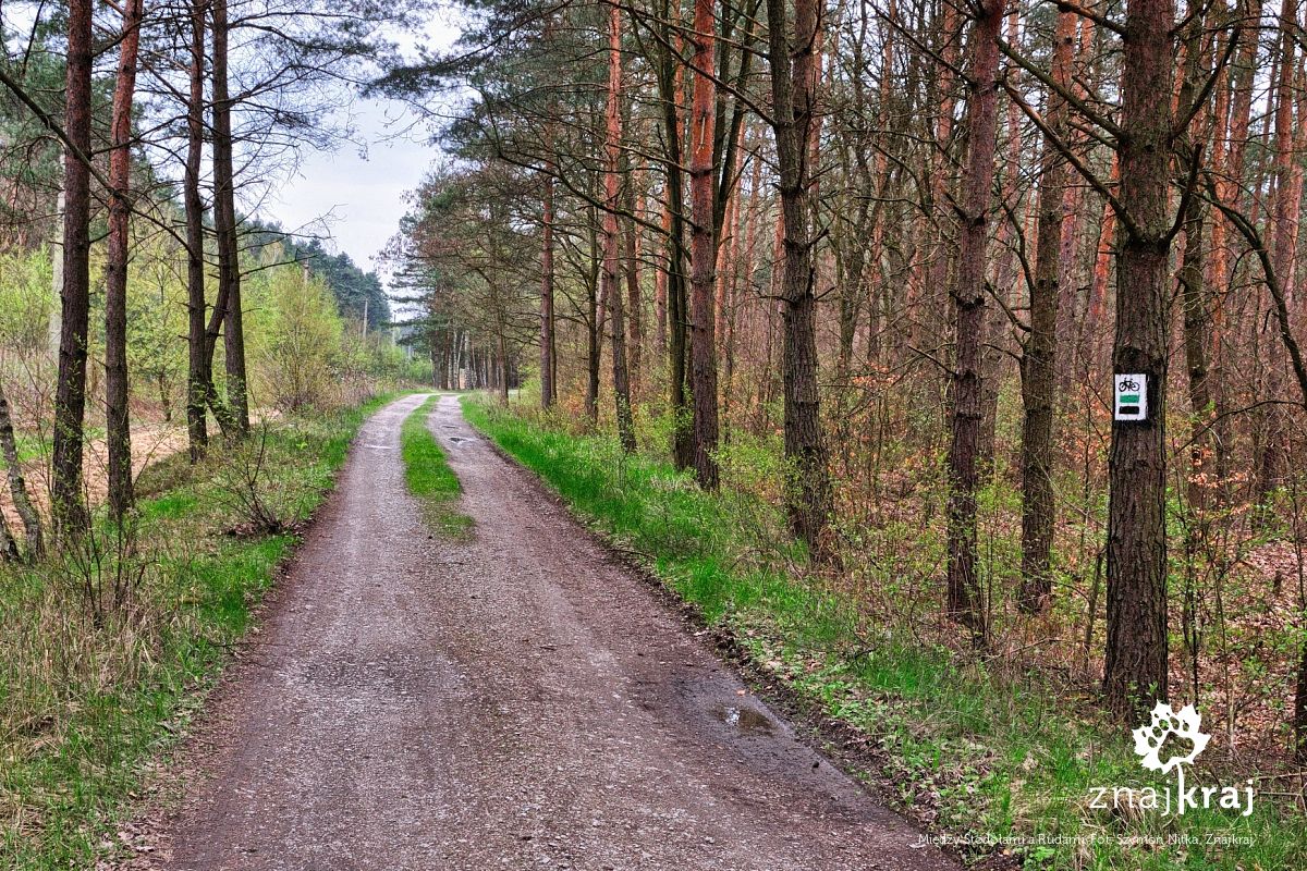 Między Stodołami a Rudami Między Stodołami a Rudami