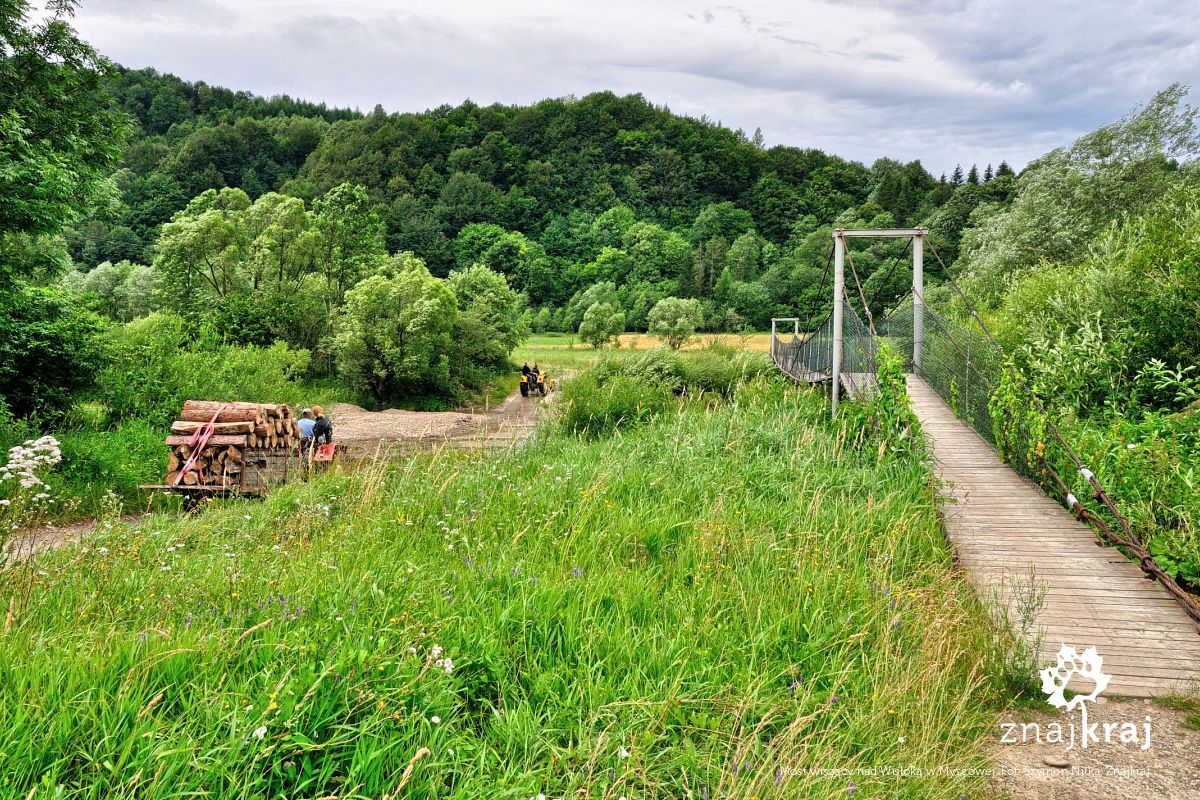 Most wiszący nad Wisłoką w Myscowej