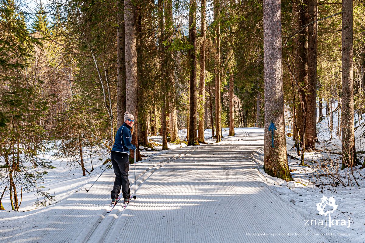 Na biegowkach po alpejskim lesie Na biegowkach po alpejskim lesie