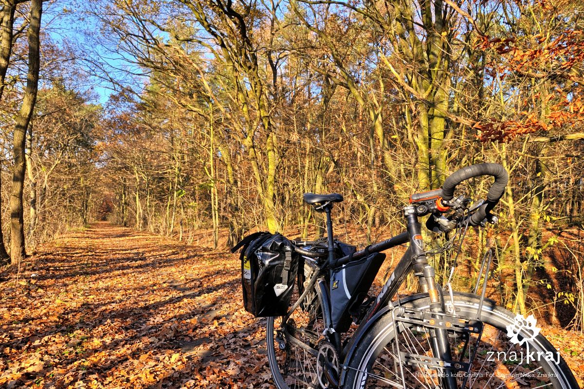 Na Blue Velo koło Gryfina