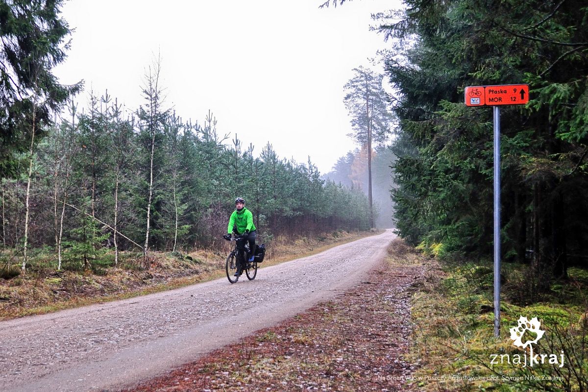 Na Green Velo w Puszczy Augustowskiej Na Green Velo w Puszczy Augustowskiej