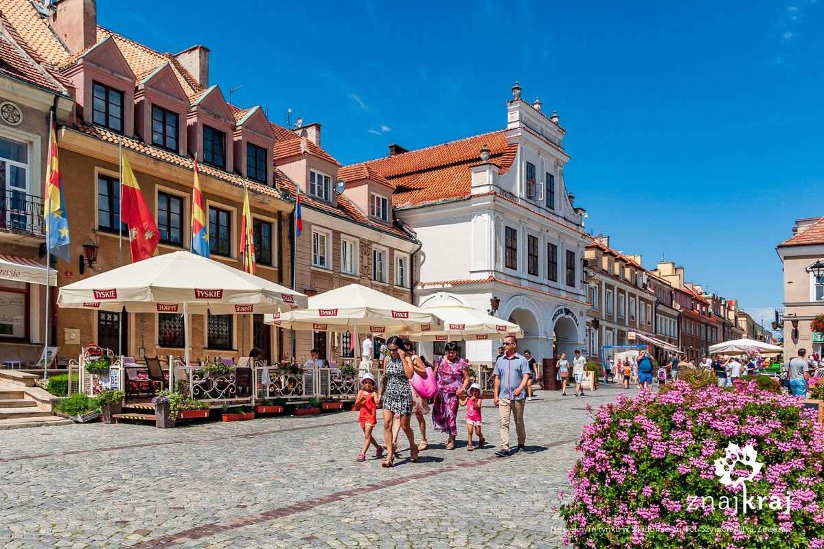 Na pięknym rynku w Sandomierzu