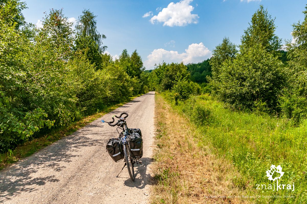 Na szlaku Green Velo koło Błażowej