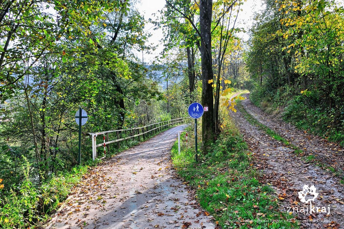 Na szlaku rowerowym nad Bystrzycą