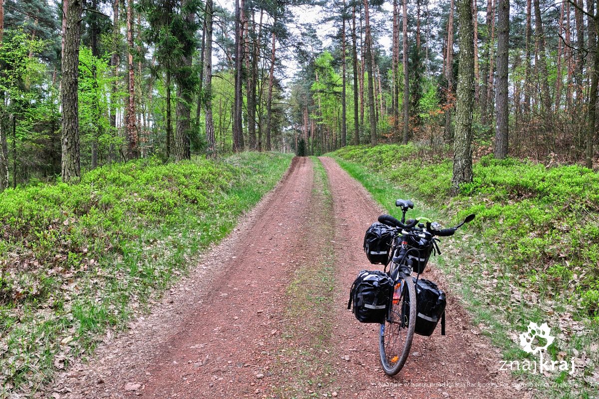 Na trasie w lasach przed Kuźnią Raciborską Na trasie w lasach przed Kuźnią Raciborską