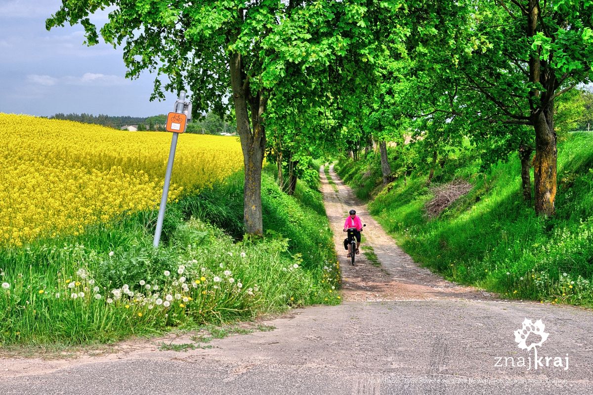 Na Wiślanej Trasie Rowerowej przed Nowem