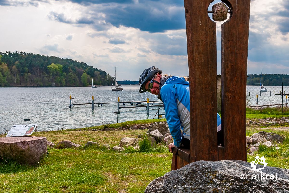 Nad Werbellinsee w rezerwacie Schorfheide-Chorin