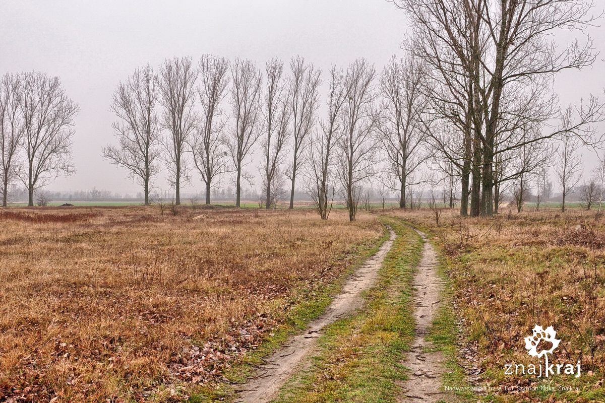 Nadwarciańska trasa Nadwarciańska trasa