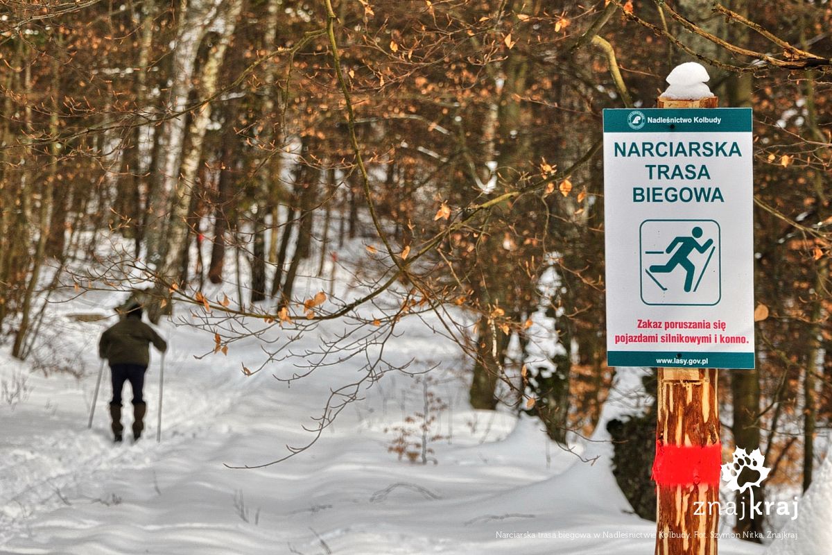Narciarska trasa biegowa w Nadleśnictwie Kolbudy Narciarska trasa biegowa w Nadleśnictwie Kolbudy