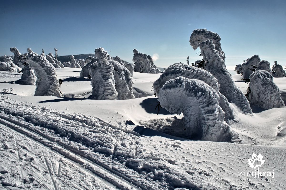 Narciarska trasa w Karkonoszach Narciarska trasa w Karkonoszach