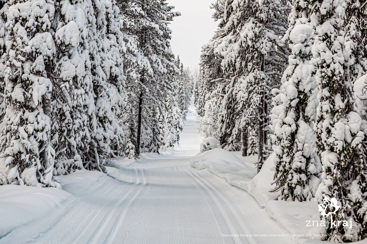 Narciarska trasa w kierunku rezerwatu Pyhävaara Narciarska trasa w kierunku rezerwatu Pyhävaara