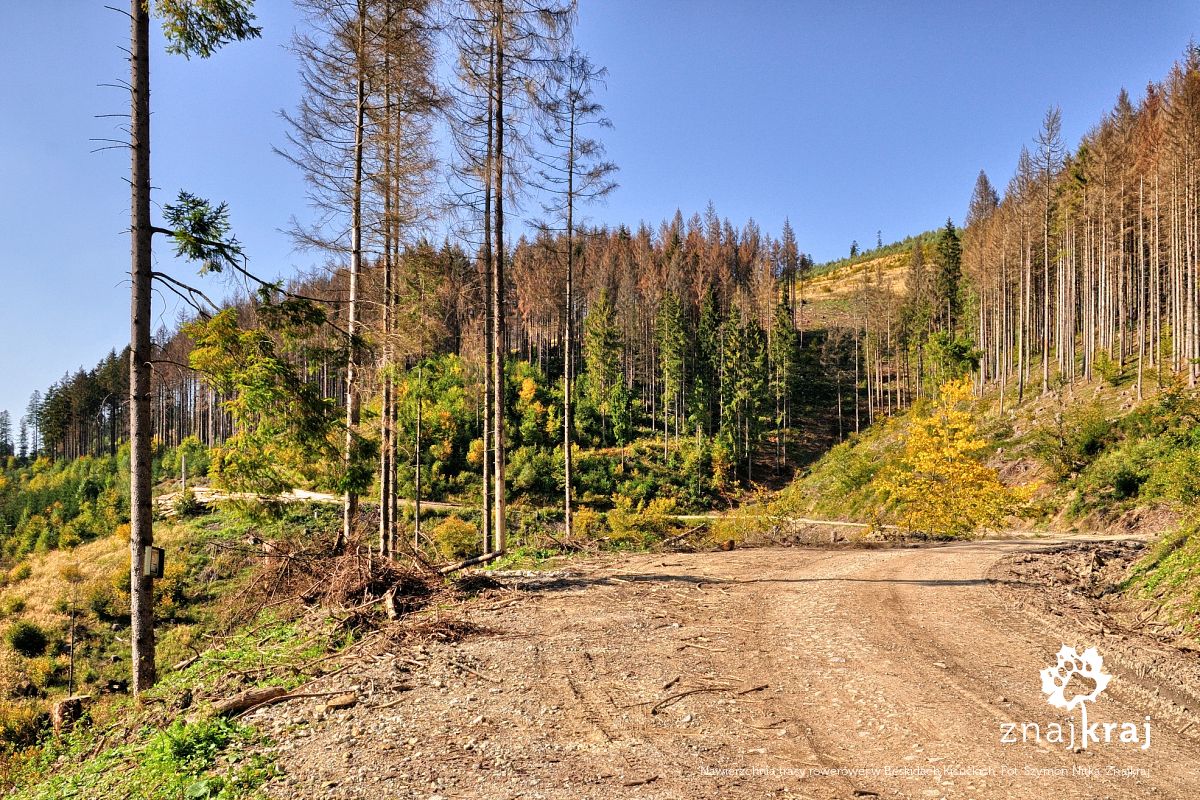 Nawierzchnia trasy rowerowej w Beskidach Kisuckich