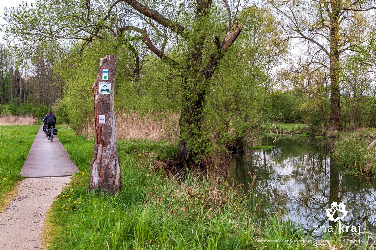 Oberspreewald - szlak rowerowy
