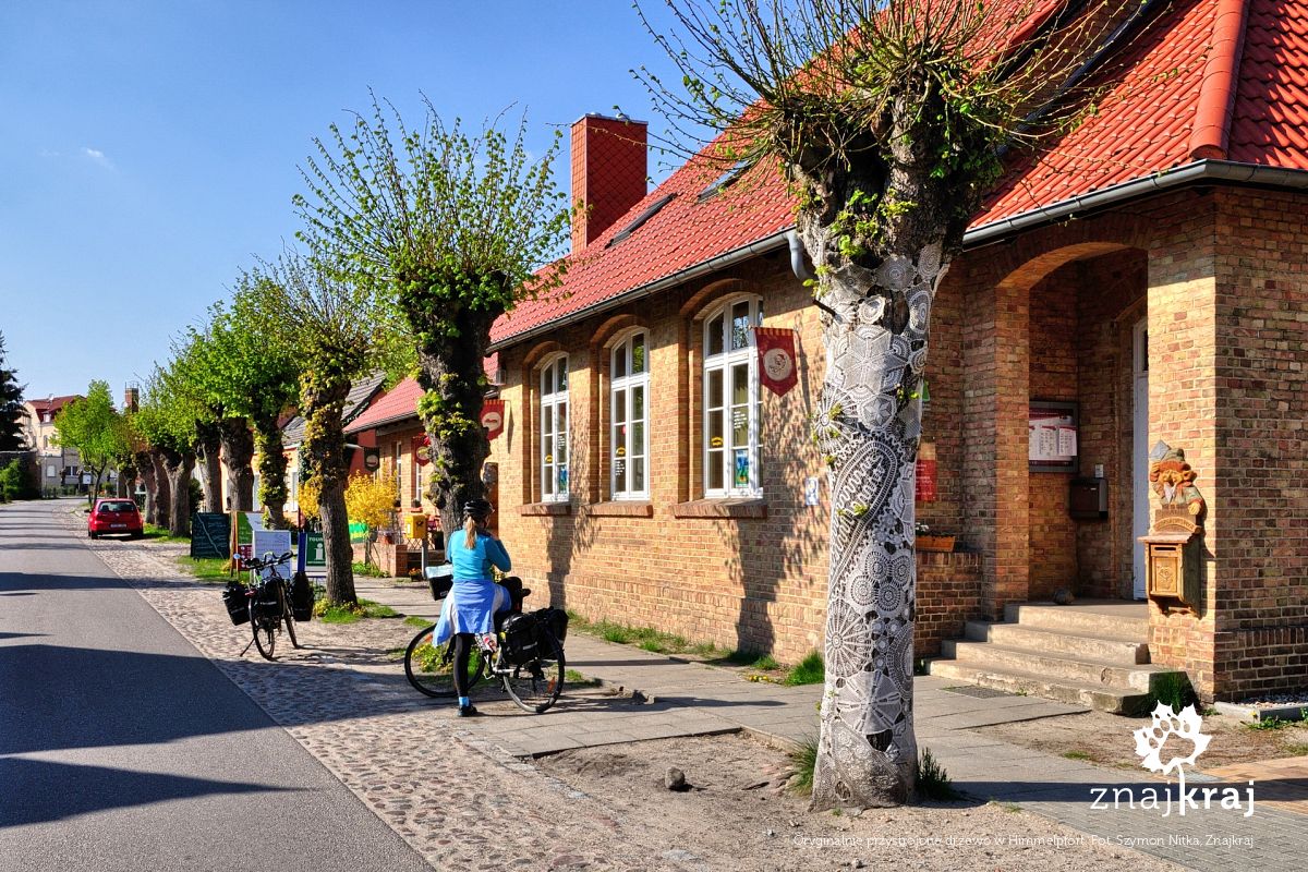 Oryginalnie przystrojone drzewo w Himmelpfort Oryginalnie przystrojone drzewo w Himmelpfort