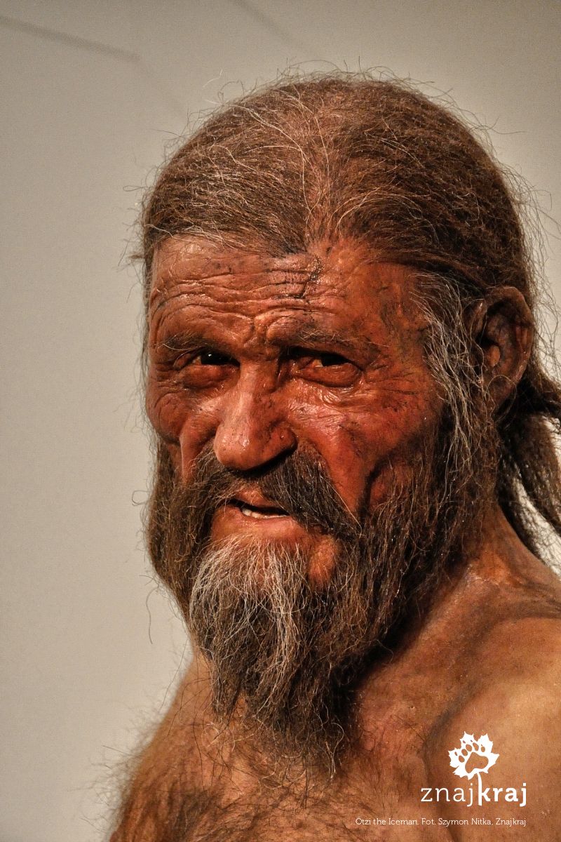 Ötzi the Iceman Ötzi the Iceman