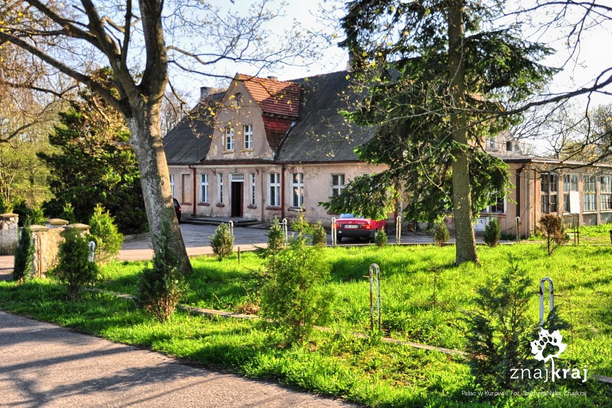 Pałac w Kurowie Pałac w Kurowie