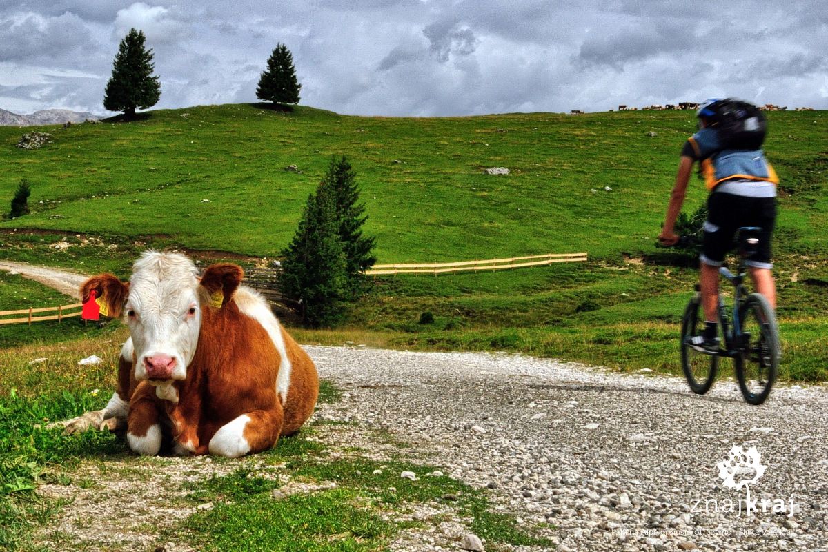 Pani na Alpe di Siusi Pani na Alpe di Siusi