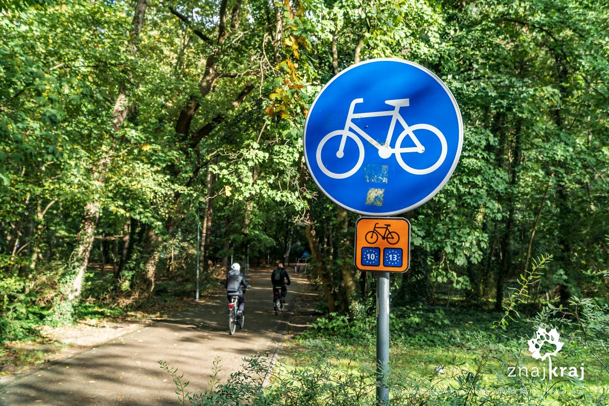 Parkowa droga rowerowa w Kołobrzegu