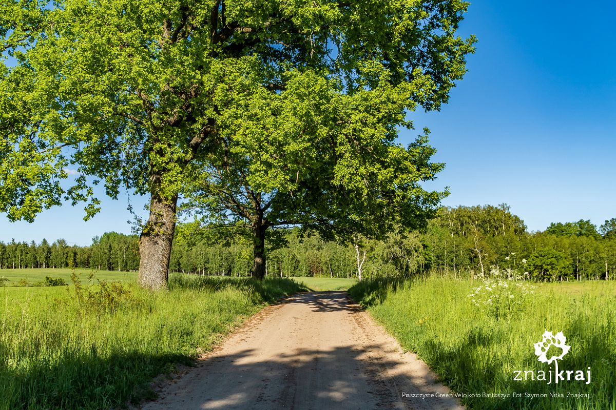 Piaszczyste Green Velo koło Bartoszyc