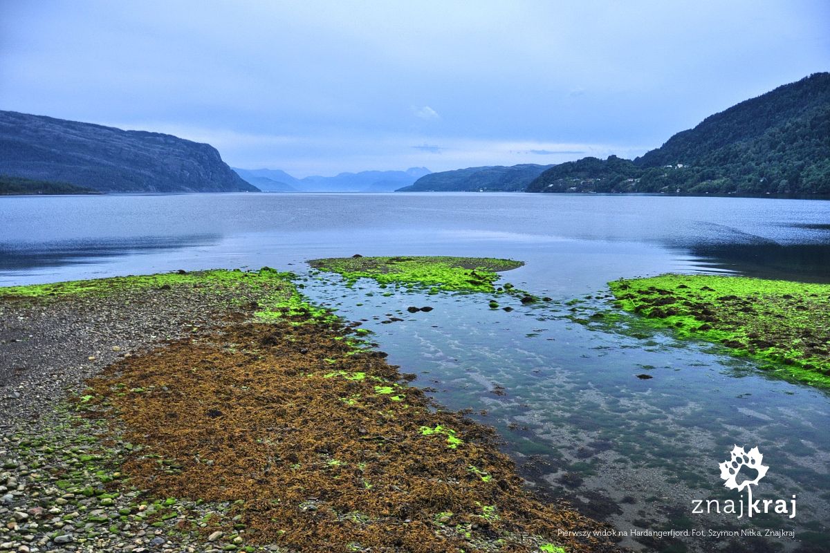 Pierwszy widok na Hardangerfjord Pierwszy widok na Hardangerfjord