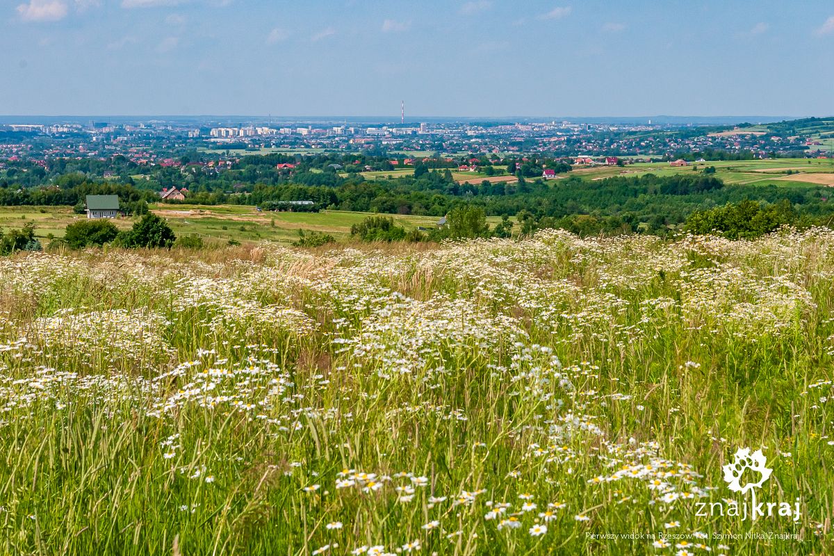 Pierwszy widok na Rzeszów