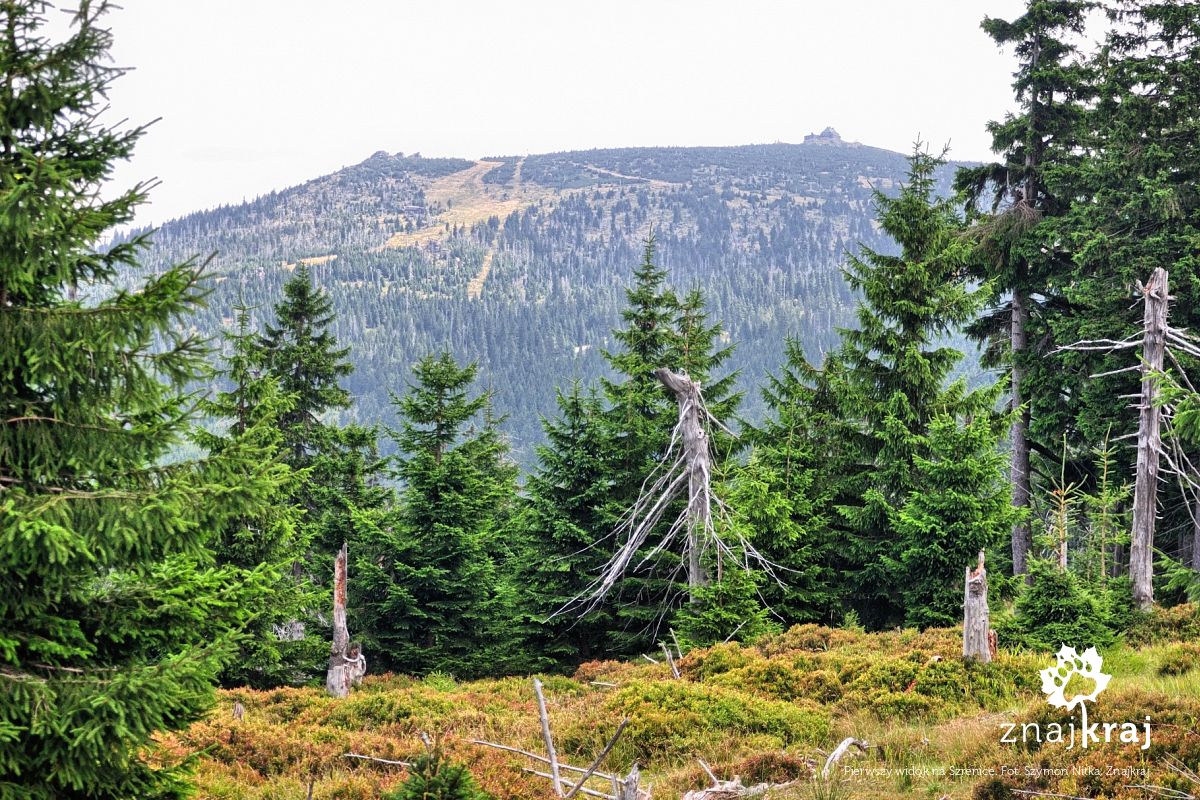 Pierwszy widok na Szrenicę Pierwszy widok na Szrenicę