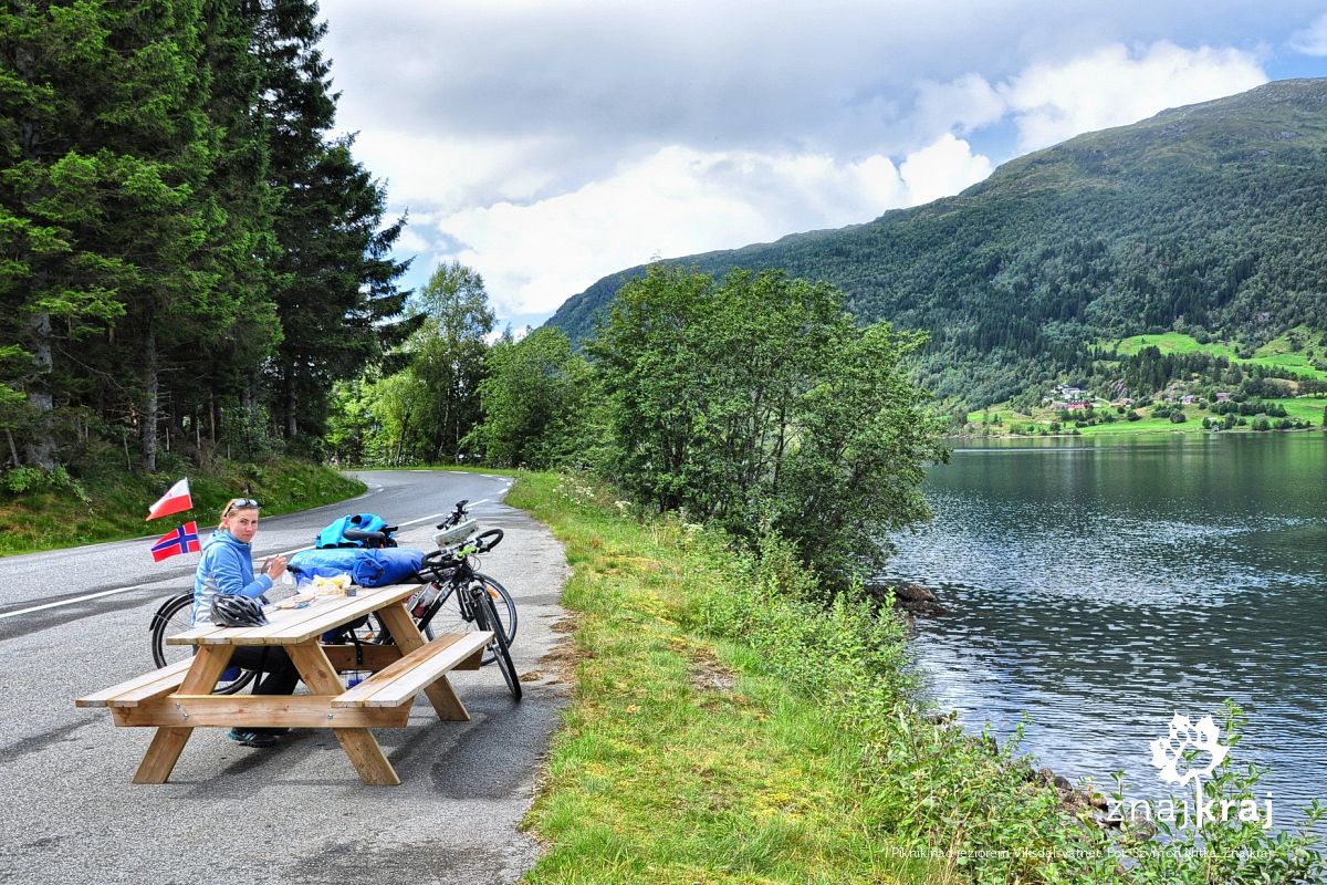 Piknik nad jeziorem Viksdalsvatnet Piknik nad jeziorem Viksdalsvatnet
