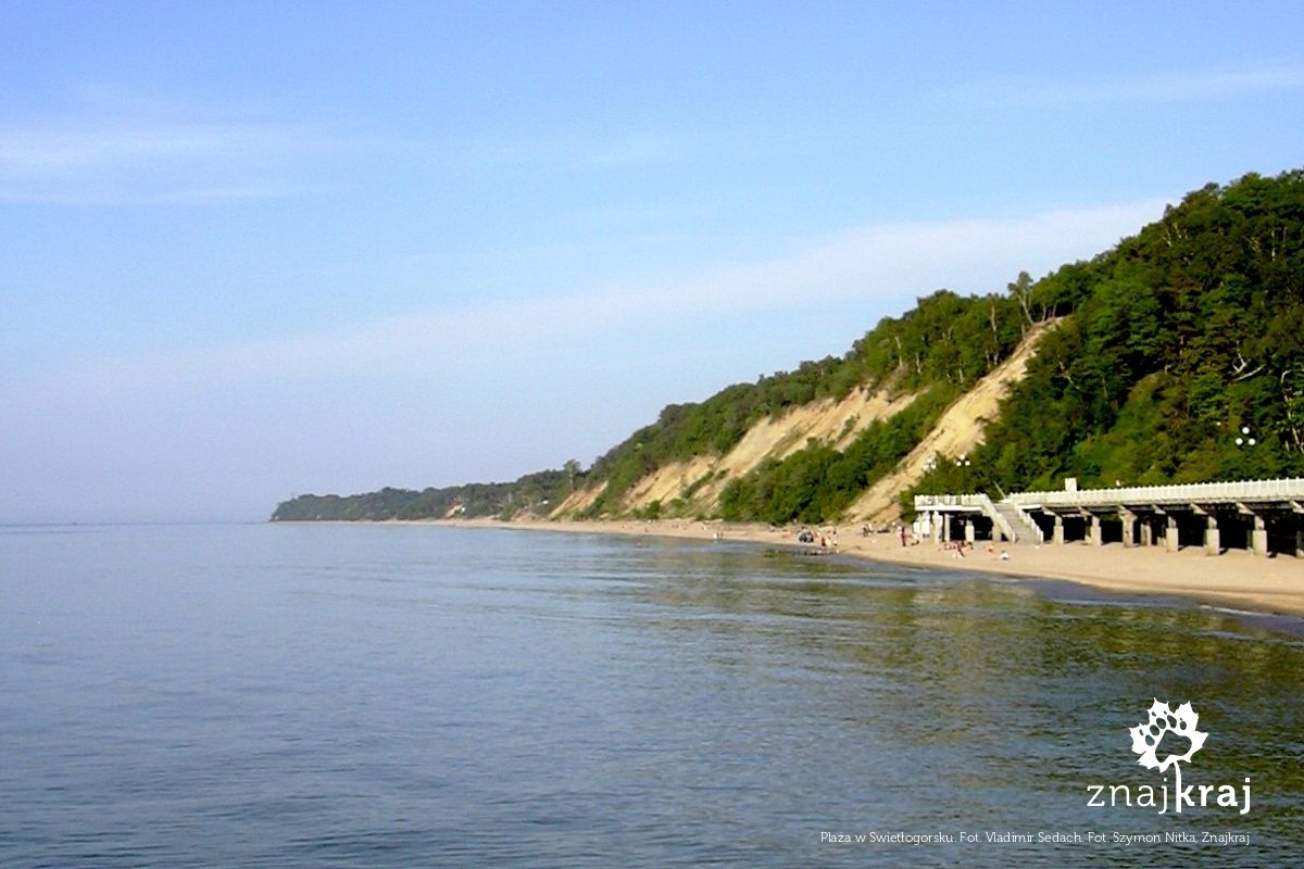 Plaża w Swietłogorsku. Fot. Vladimir Sedach Plaża w Swietłogorsku. Fot. Vladimir Sedach