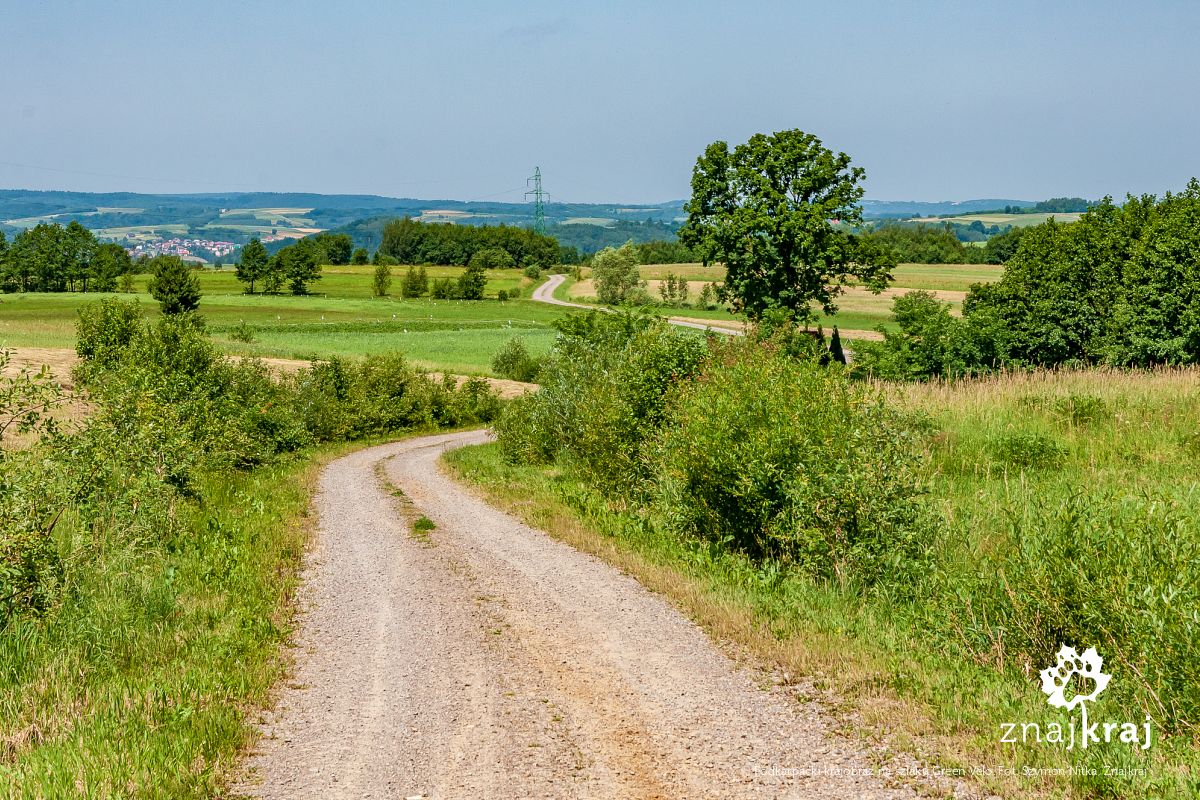 Podkarpacki krajobraz na szlaku Green Velo