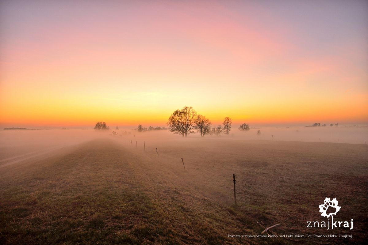 Pomarańczoworóżowe niebo nad Lubuskiem