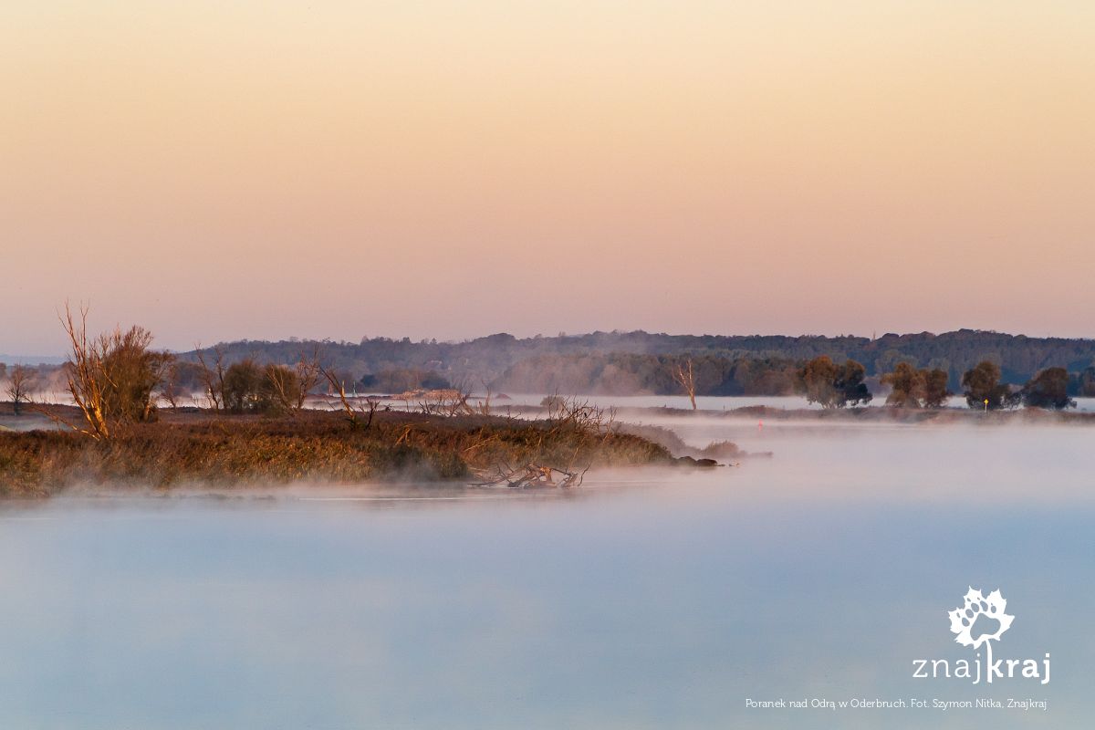 Poranek nad Odrą w Oderbruch